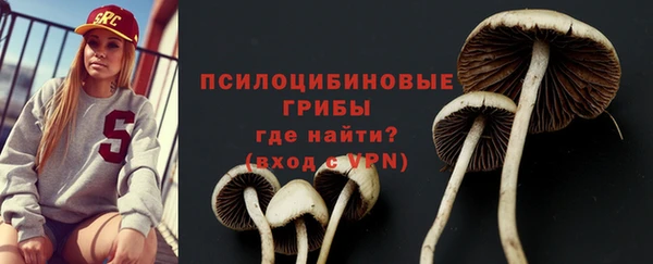 apvp Остров