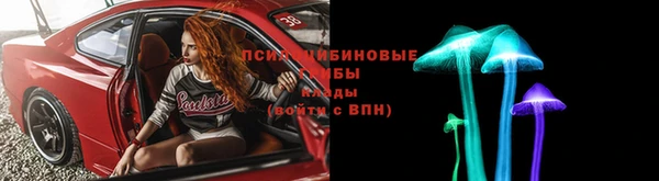 apvp Остров