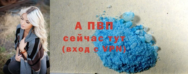 гашик Новозыбков