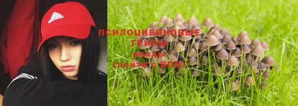 кристаллы Осинники