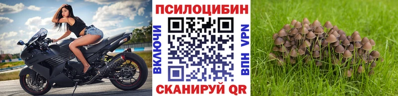 Галлюциногенные грибы GOLDEN TEACHER продажа наркотиков Александров