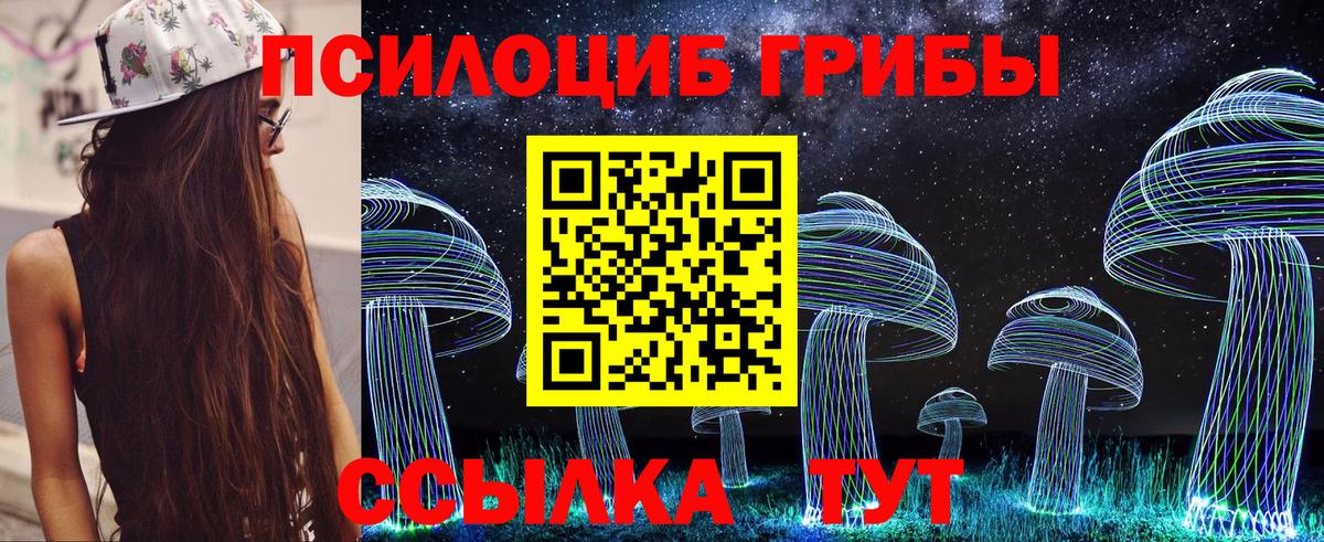 Галлюциногенные грибы мицелий Александров