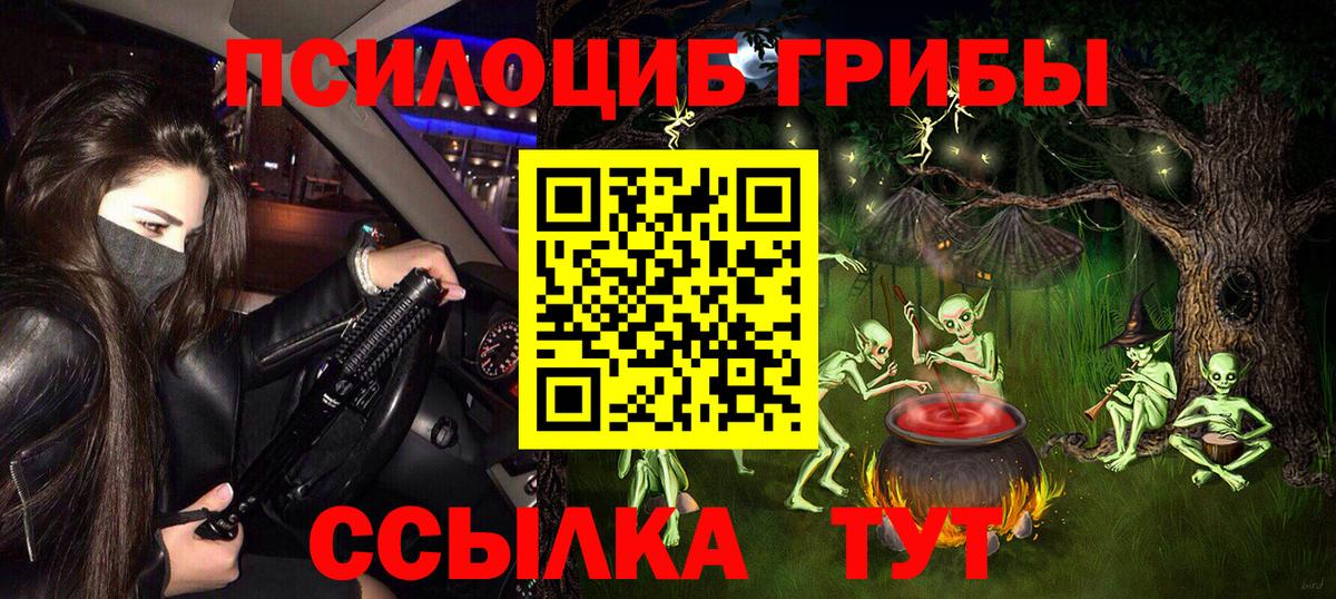 Псилоцибиновые грибы мицелий  что такое   Александров  Псилоцибиновые грибы Psilocybine cubensis  Вход с VPN 