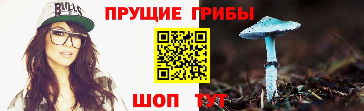 Псилоцибиновые грибы мухоморы  Вход с VPN  Александров  Галлюциногенные грибы GOLDEN TEACHER 