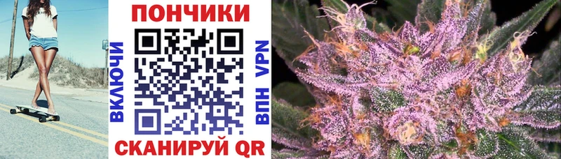 закладка  Александров  kraken вход  Каннабис сатива 