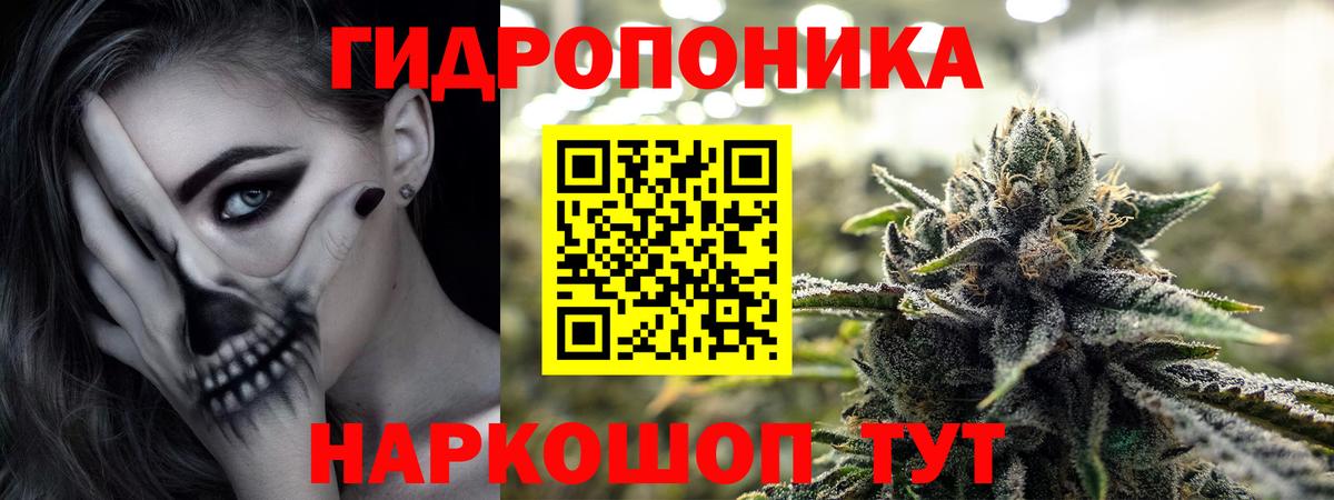 Александров  Бошки Шишки Amnesia  Бошки Шишки план  Канабис THC 21%  Вход с VPN 
