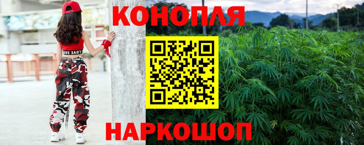 Конопля Bruce Banner Александров